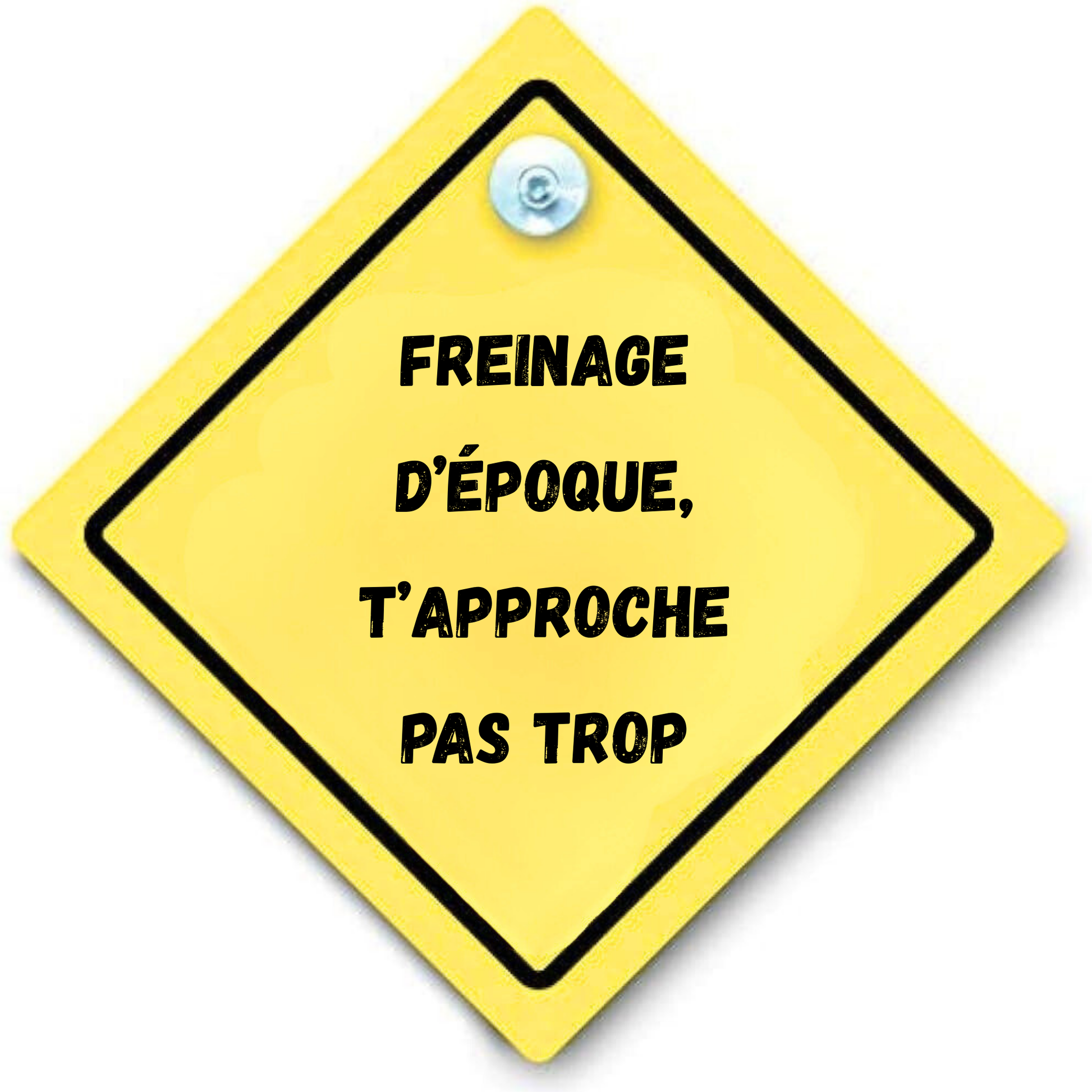 panneau arriere voiture ventouse personnalisation personnalisable Marion papillon Geneve suisse