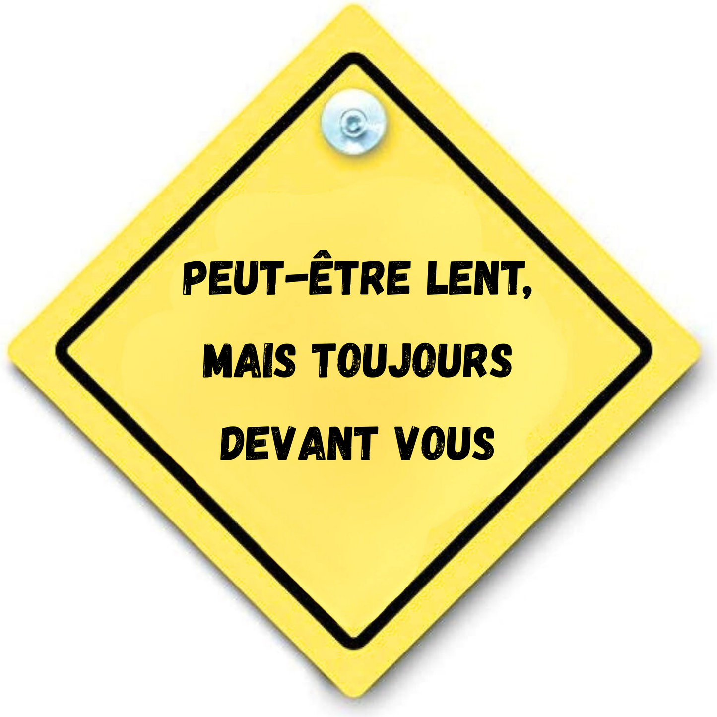 panneau arriere voiture ventouse personnalisation personnalisable Marion papillon Geneve suisse