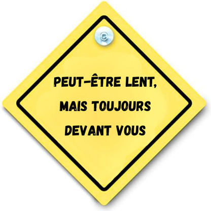 panneau arriere voiture ventouse personnalisation personnalisable Marion papillon Geneve suisse
