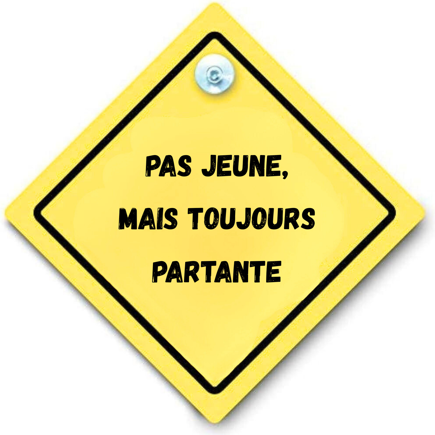 panneau arriere voiture ventouse personnalisation personnalisable Marion papillon Geneve suisse