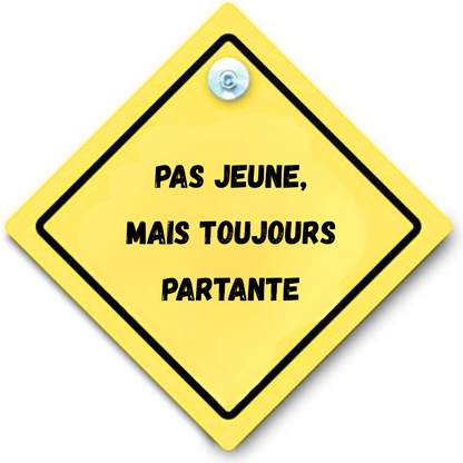 panneau arriere voiture ventouse personnalisation personnalisable Marion papillon Geneve suisse