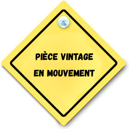 panneau arriere voiture ventouse personnalisation personnalisable Marion papillon Geneve suisse