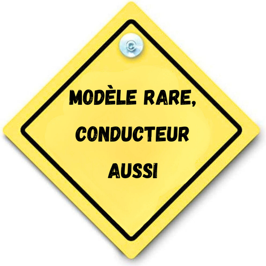 panneau arriere voiture ventouse personnalisation personnalisable Marion papillon Geneve suisse
