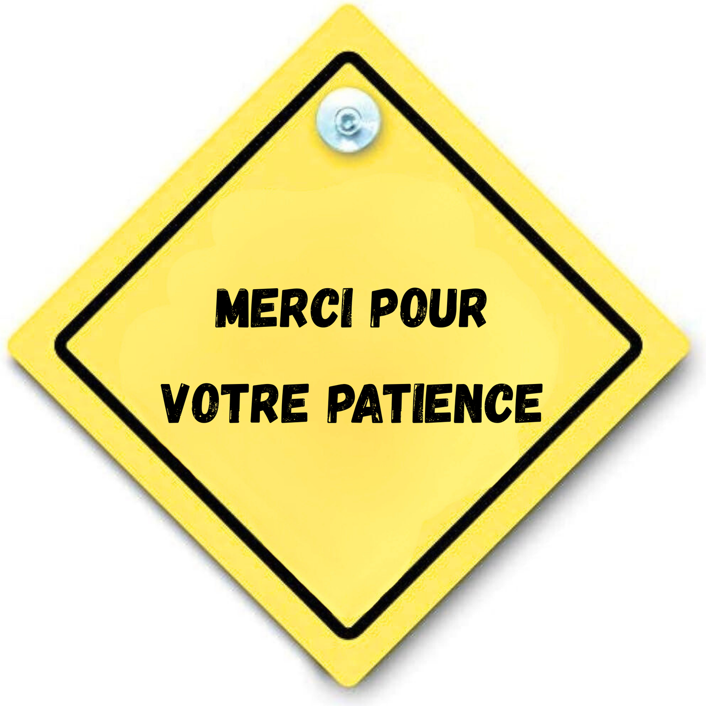 panneau arriere voiture ventouse personnalisation personnalisable Marion papillon Geneve suisse