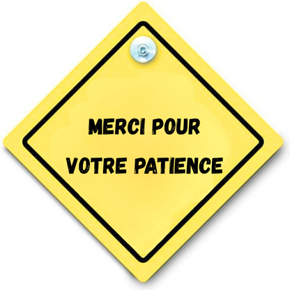 panneau arriere voiture ventouse personnalisation personnalisable Marion papillon Geneve suisse